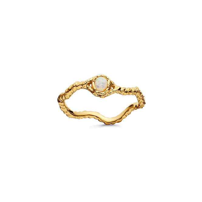 Hovedbilde Lisa Ring