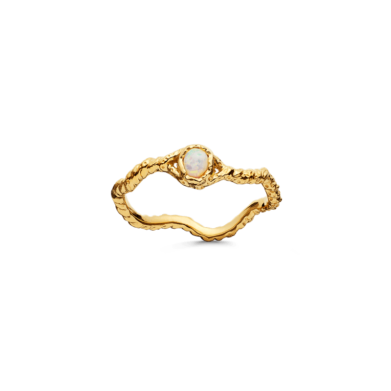 Lisa Ring